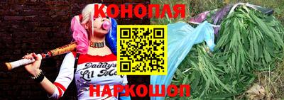 прущие грибы Донецк