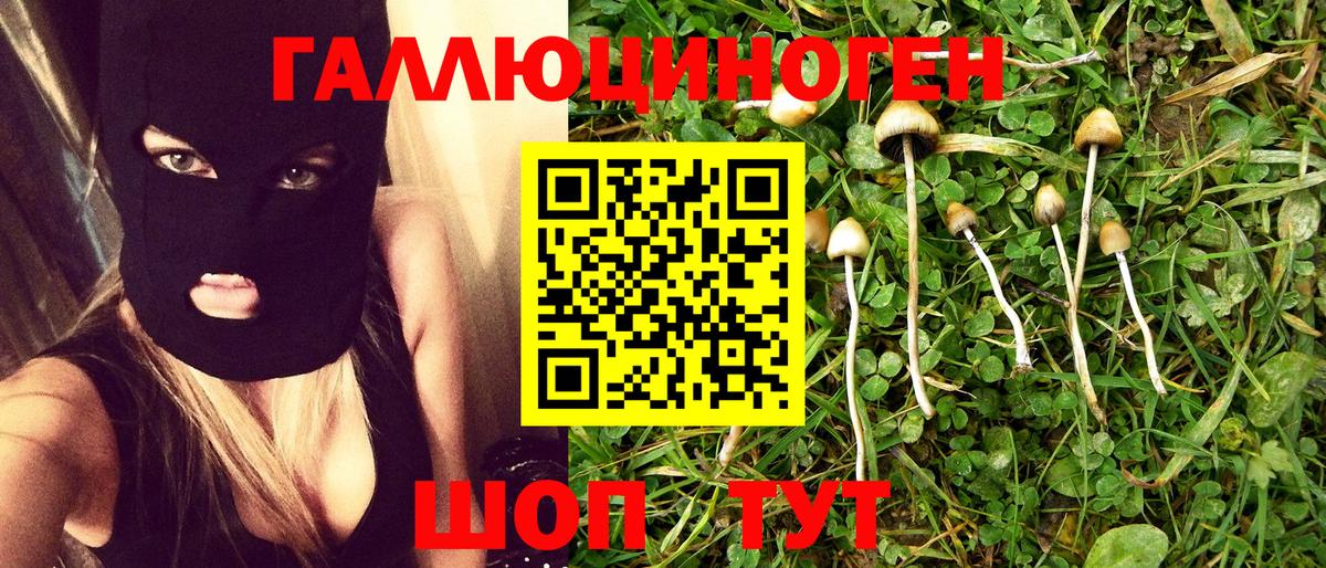 Псилоцибиновые грибы Cubensis Медногорск